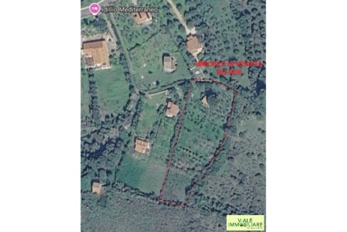 11 V-ALE IMMOBILIARE 26_512 (1)