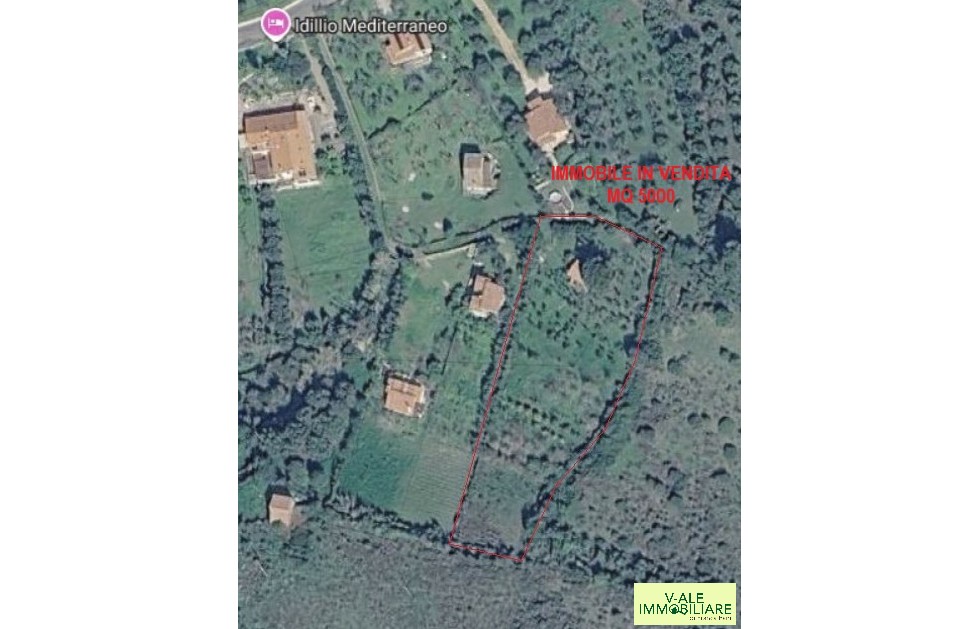 11 V-ALE IMMOBILIARE 26_512 (1)